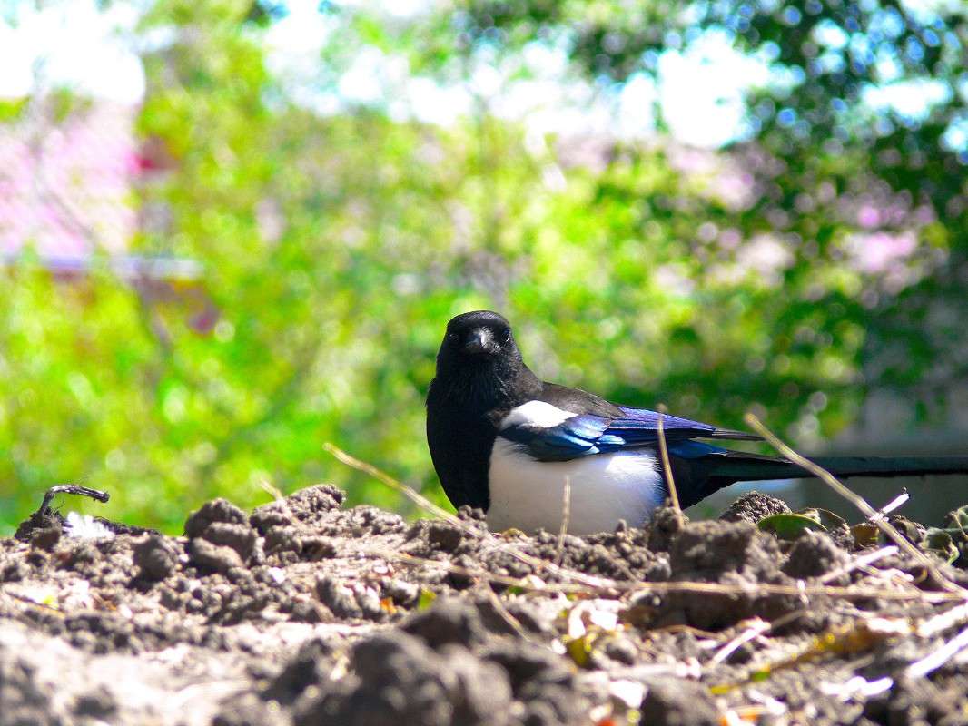 ������-��������... ����� ����� ������ �� PhotoGeek.ru #�������� ��� #������ ��� ������� #��������� #����� ��������