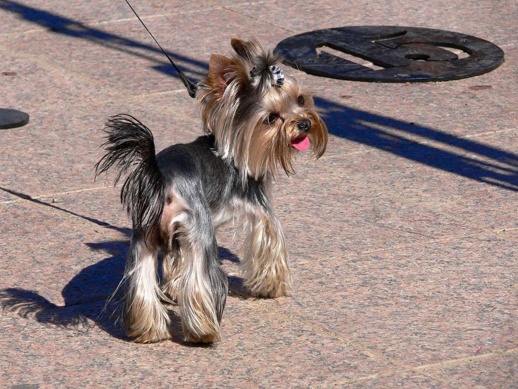 ������� ����� ����� ������ �� PhotoGeek.ru #�������� ��� #�������� #�������������� ���� #�������� ���