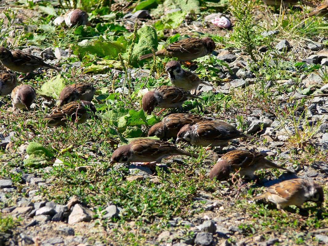 ���������� ��������! ����� ����� ������ �� PhotoGeek.ru #����� #�������� ��� #������ ��� ������� #��������� ������ #����� ��������