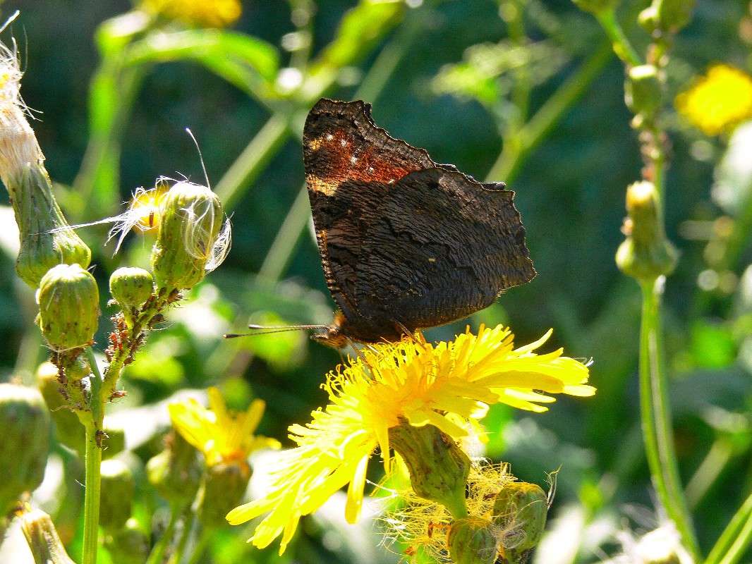 ������� ����� ����� ������ �� PhotoGeek.ru #����� #������ ��� ������� #����� �������������� #��������� #����� ��������