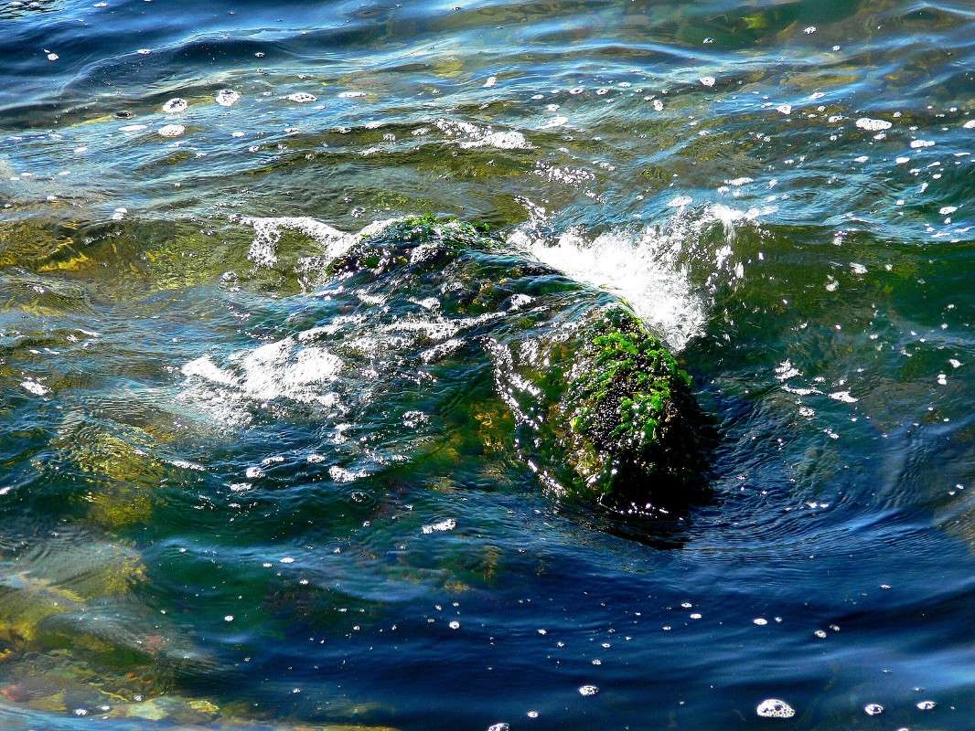 ��������... ����� ����� ������ �� PhotoGeek.ru #������ ��� ������� #��������� #������