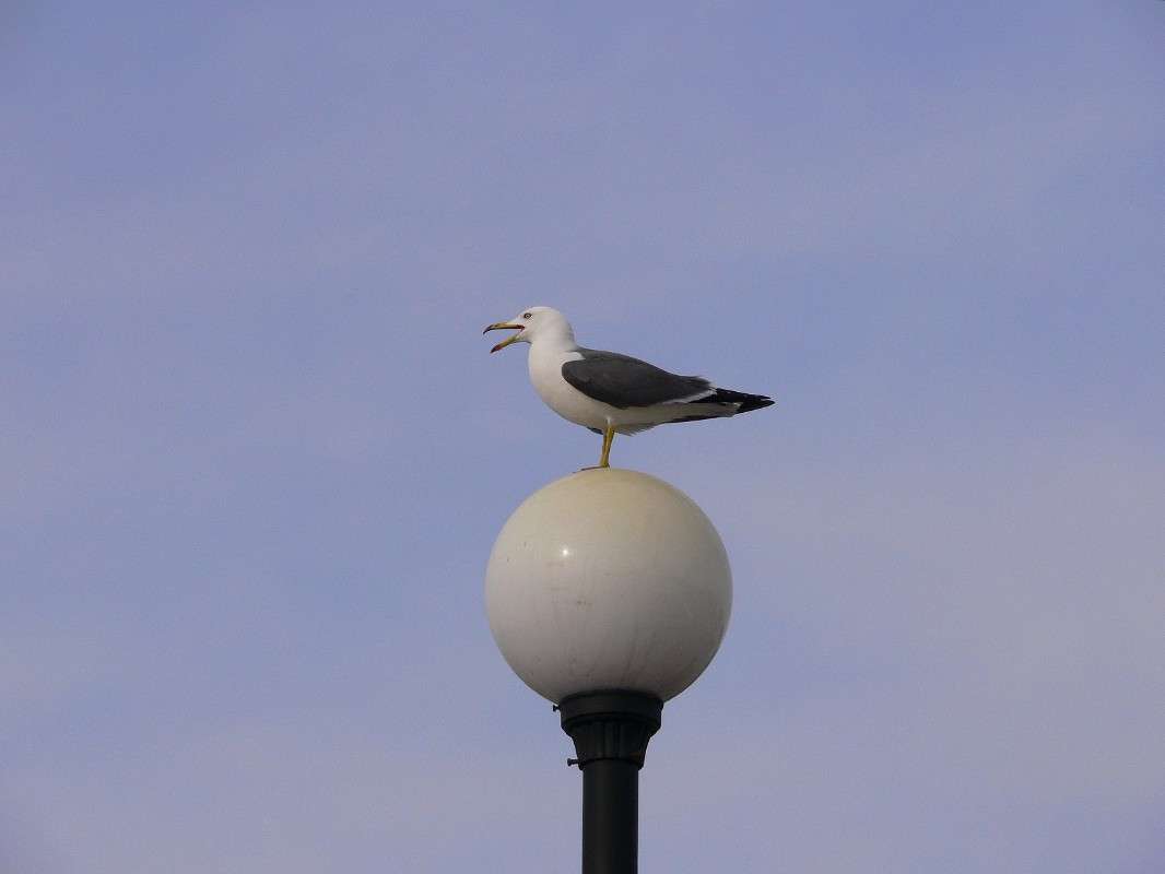 "���!" ����� ����� ������ �� PhotoGeek.ru #����� #�������� ��� #��������� ������