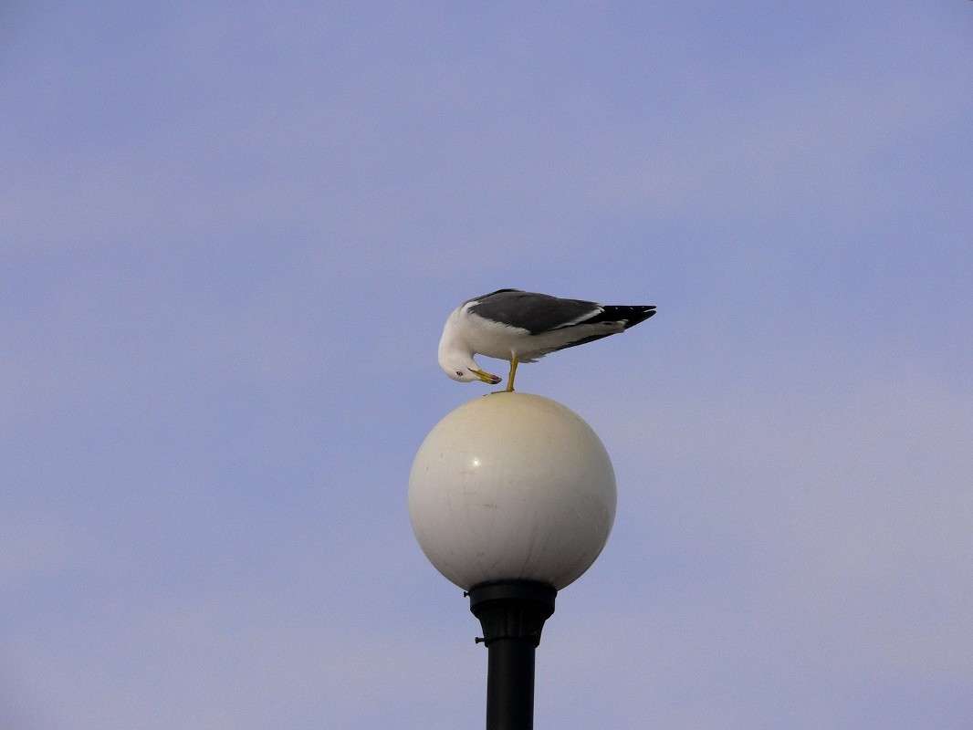 ������ ����, �� ��� ������� ����� ����� ����� ������ �� PhotoGeek.ru #����� #�������� ��� #�������� #��������� ������