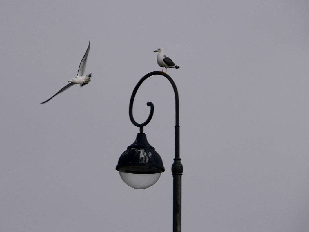 ����� ������ ... ���� ����� ����� ������ �� PhotoGeek.ru #����� #�������� ��� #��������� ������