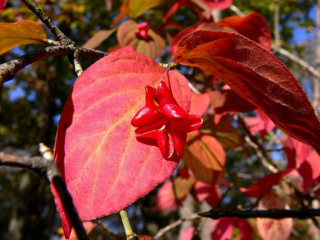 ������������� ����� ����� ������ �� PhotoGeek.ru #������ ��� ������� #����� �������������� #���������