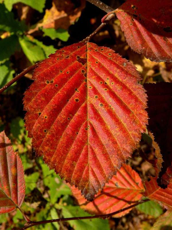 �������� ������������� ����� ����� ������ �� PhotoGeek.ru #������ ��� ������� #����� �������������� #��������� #����� ��������