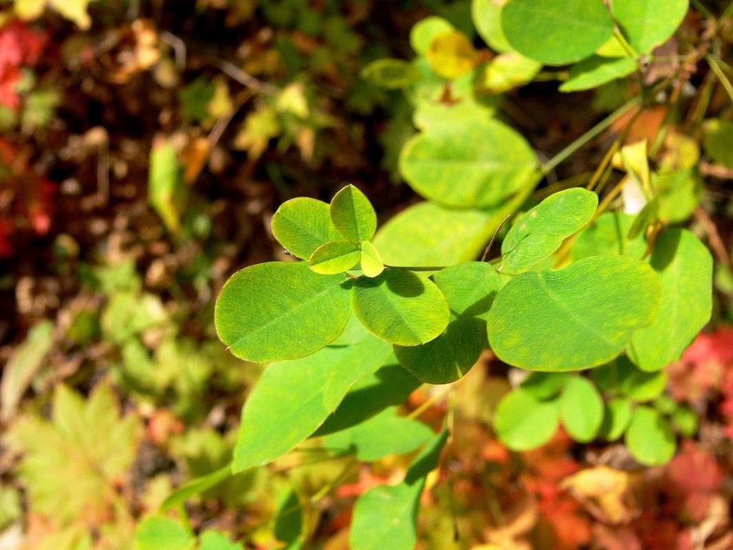 ��������� ������... ����� ����� ������ �� PhotoGeek.ru #������ ��� ������� #����� �������������� #���������