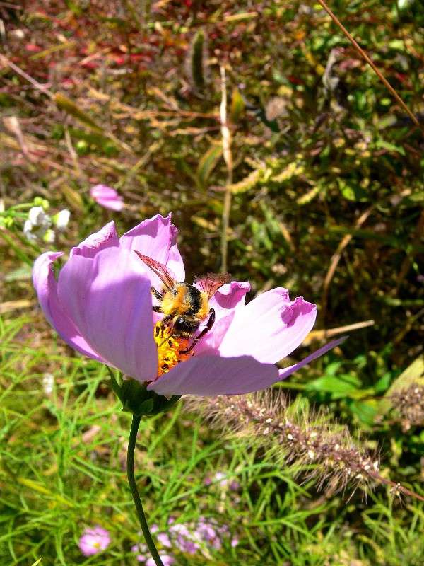 ��������� ����� ����� ������ �� PhotoGeek.ru #������ ��� ������� #����� �������������� #��������� #����� ��������