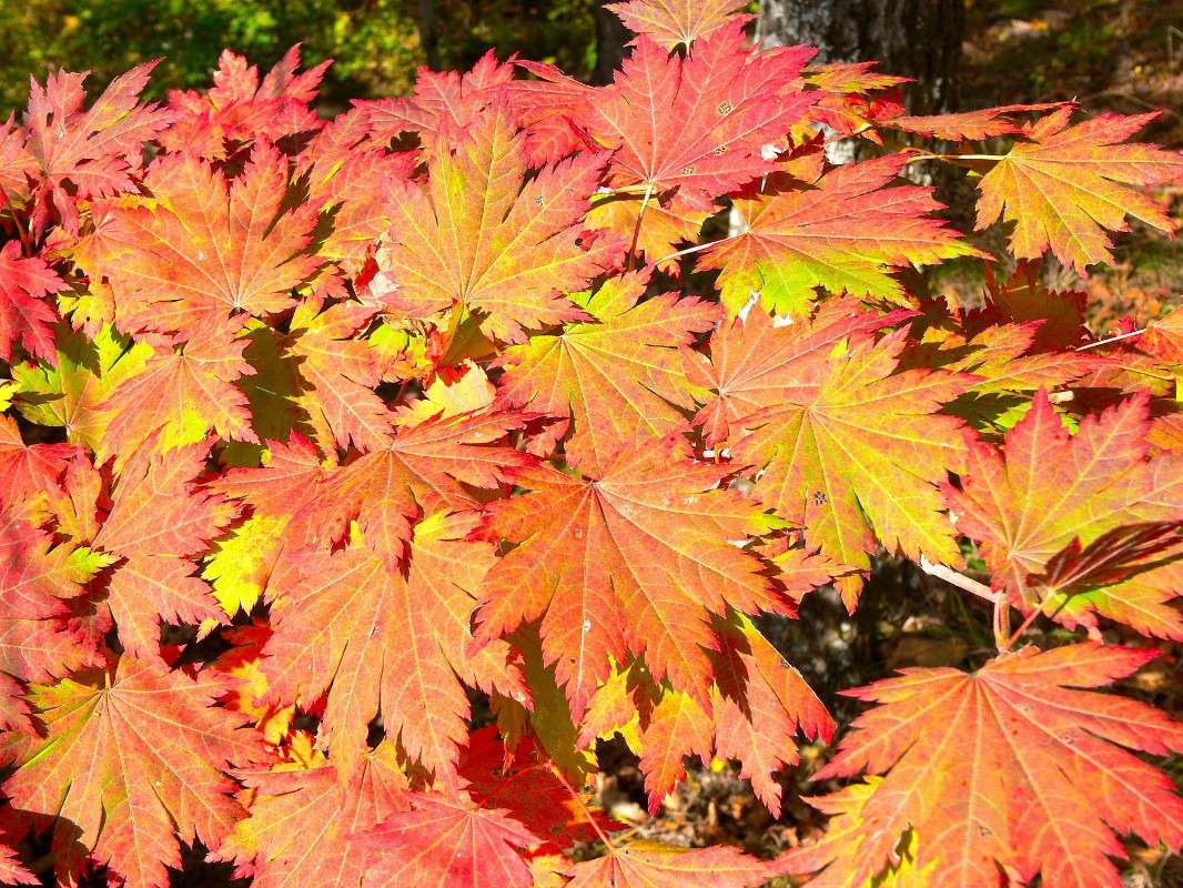 �������� ����� ����� ����� ������ �� PhotoGeek.ru #������ ��� ������� #����� �������������� #��������� #����� ��������