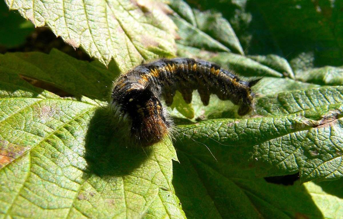 �������� ����� ����� ������ �� PhotoGeek.ru #����� #�������� ��� #������ ��� ������� #����� �������������� #���������