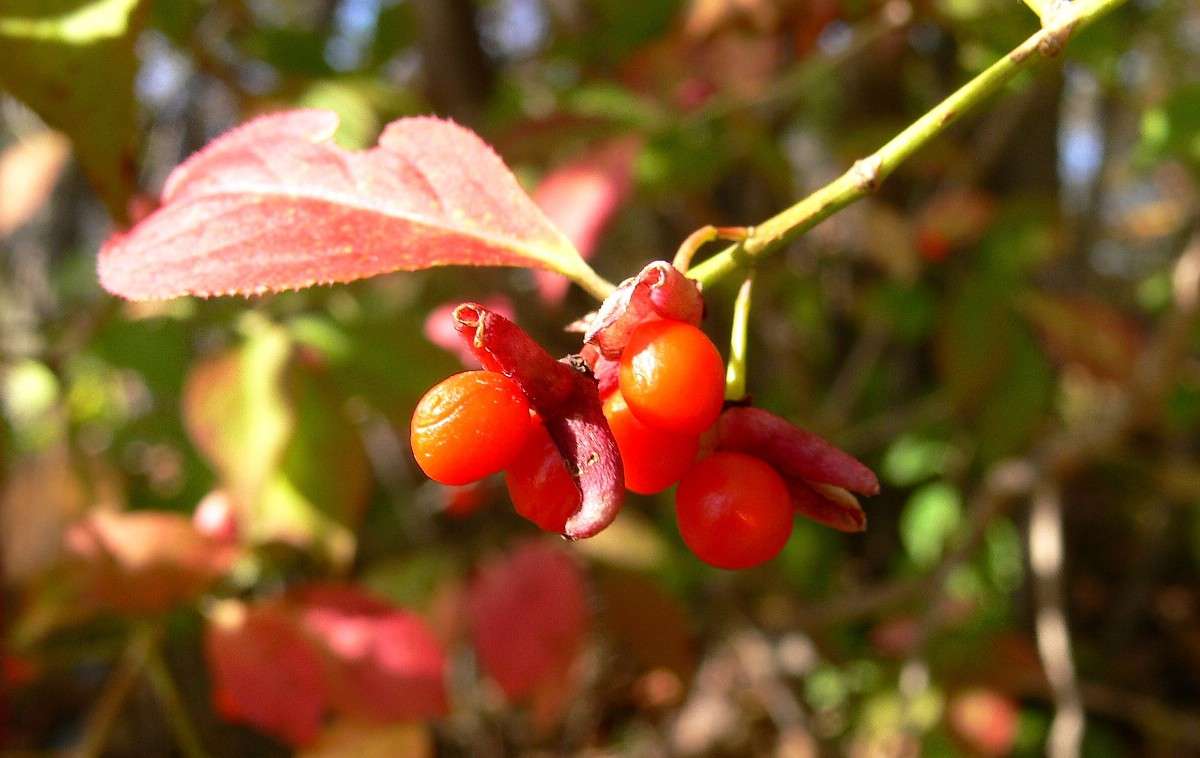 �������... ����� ����� ������ �� PhotoGeek.ru #������ ��� ������� #����� �������������� #����� ��������