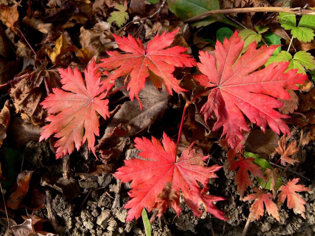 ��������� ���� ����� ����� ������ �� PhotoGeek.ru #������ ��� ������� #����� �������������� #����� ��������