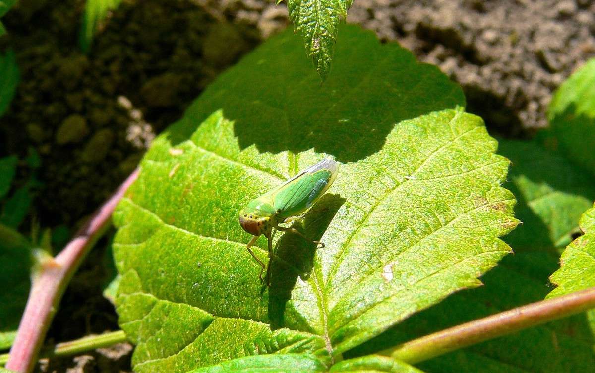 ������� �������� ����� ����� ������ �� PhotoGeek.ru #����� #�������� ��� #���������