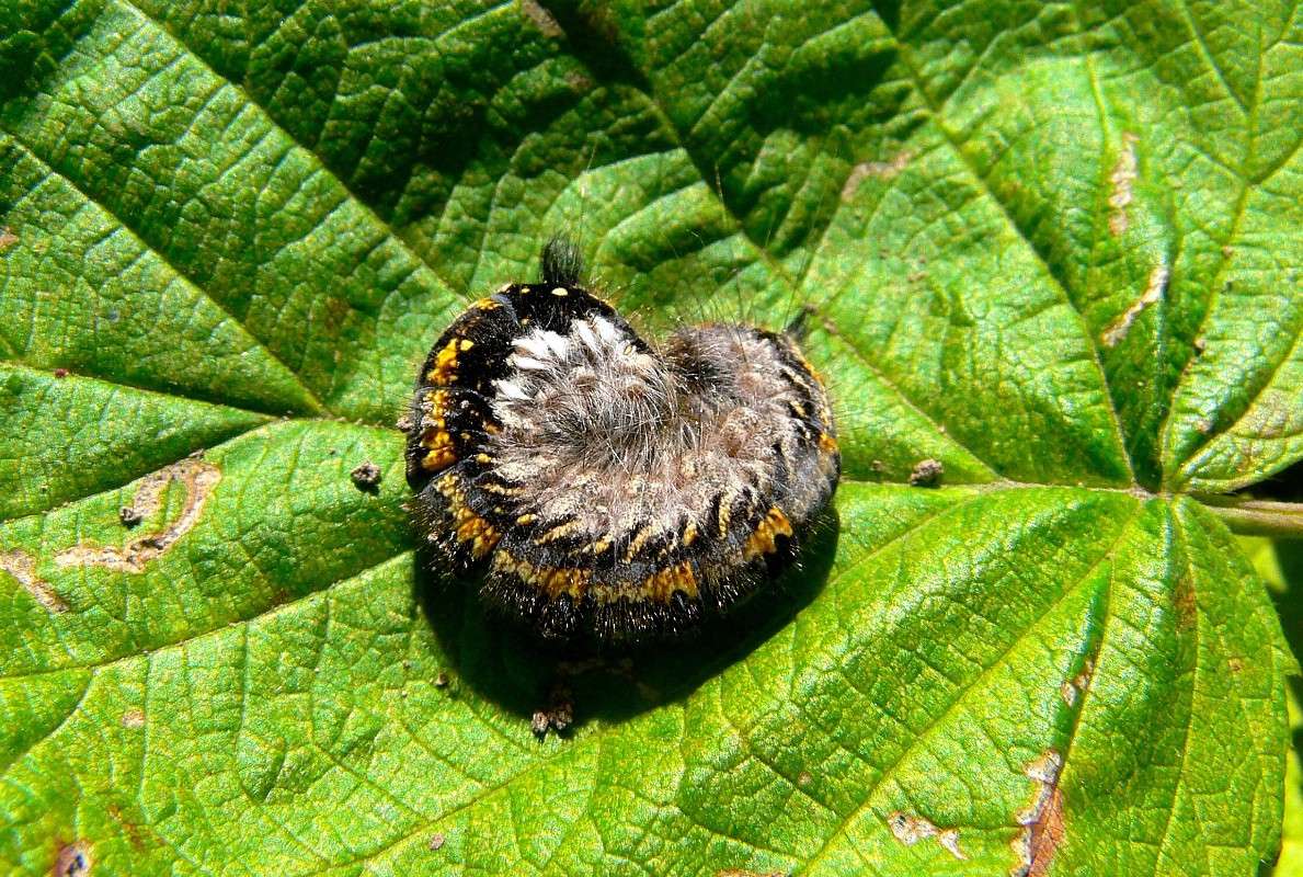 ���������� ���������... ����� ����� ������ �� PhotoGeek.ru #����� #�������� ��� #���������