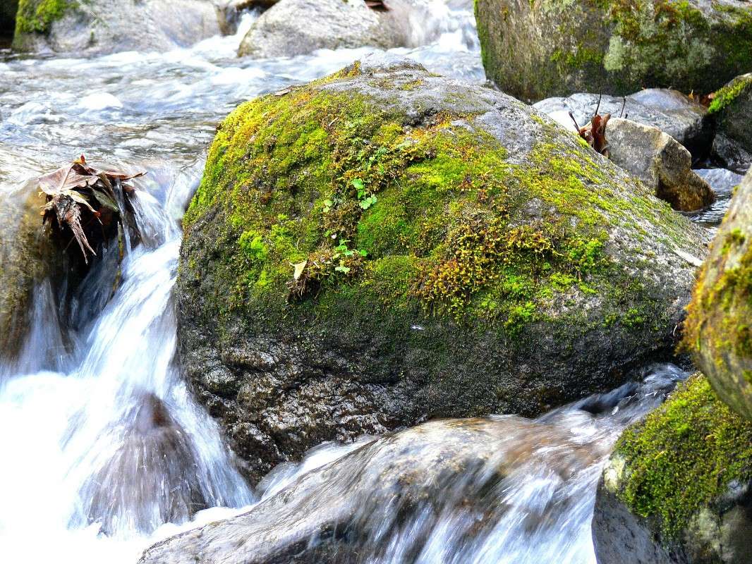 ���������... ����� ����� ������ �� PhotoGeek.ru #������ ��� ������� #����� �������������� #����� ��������