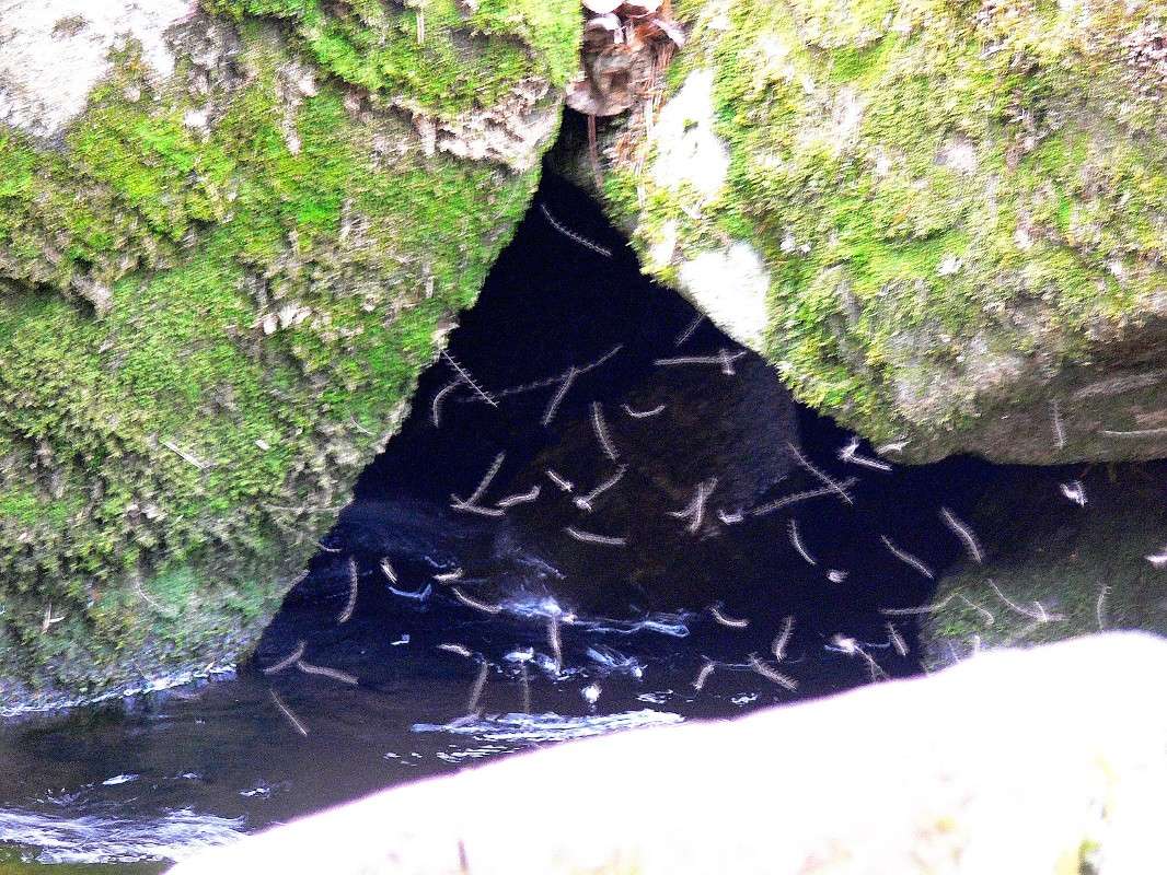 ���������� ������... ����� ����� ������ �� PhotoGeek.ru #������ ��� ������� #����� ��������