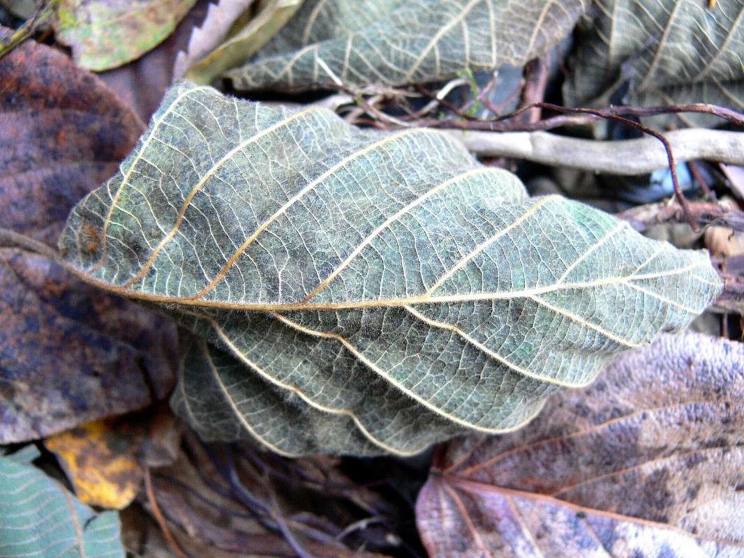 ������� ����... ����� ����� ������ �� PhotoGeek.ru #������ ��� ������� #����� �������������� #����� ��������