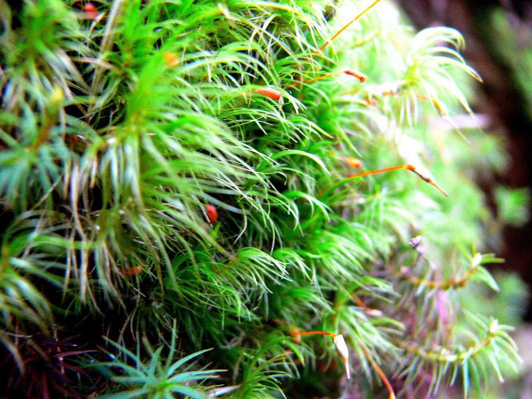 � ��� ������? ����� ����� ������ �� PhotoGeek.ru #����� #������ ��� ������� #����� ��������