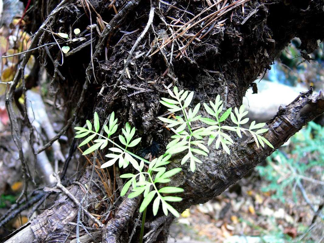 ����� ����� ����� ����� ������ �� PhotoGeek.ru #������ ��� ������� #����� �������������� #����� ��������