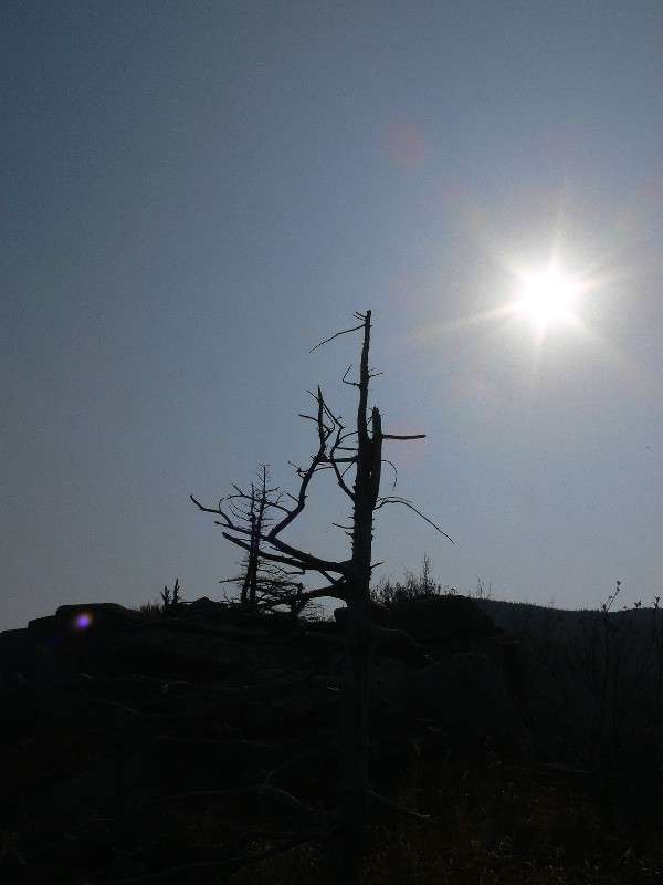 ���������� �������... ����� ����� ������ �� PhotoGeek.ru #������ ��� ������� #��������� #����� ��������