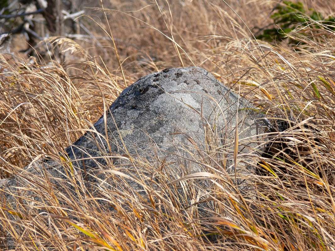 ������ � ������... ����� ����� ������ �� PhotoGeek.ru #������ ��� ������� #��������� #����� ��������