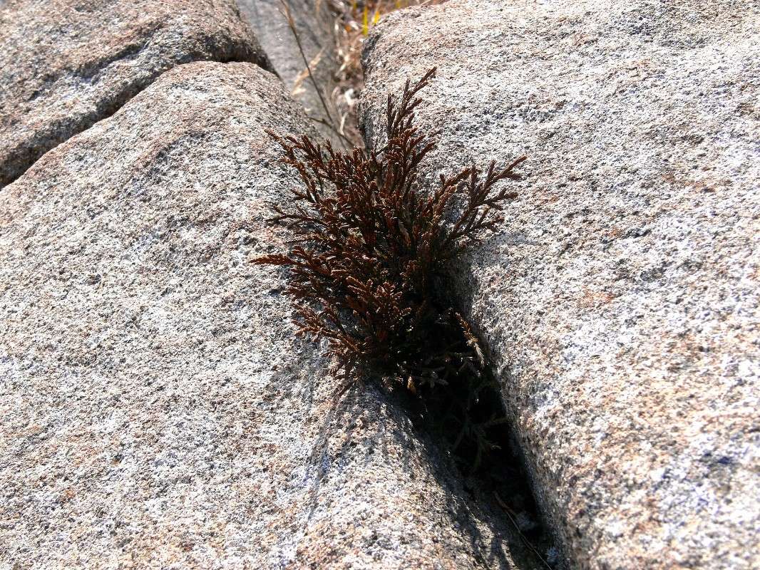 ��������� ���� - ����� ����������! ����� ����� ������ �� PhotoGeek.ru #������ ��� ������� #����� ��������