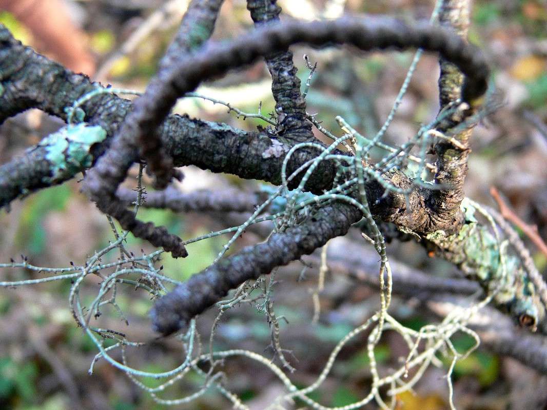 �������������� ������ ���... ����� ����� ������ �� PhotoGeek.ru #������ ��� ������� #����� �������������� #����� ��������