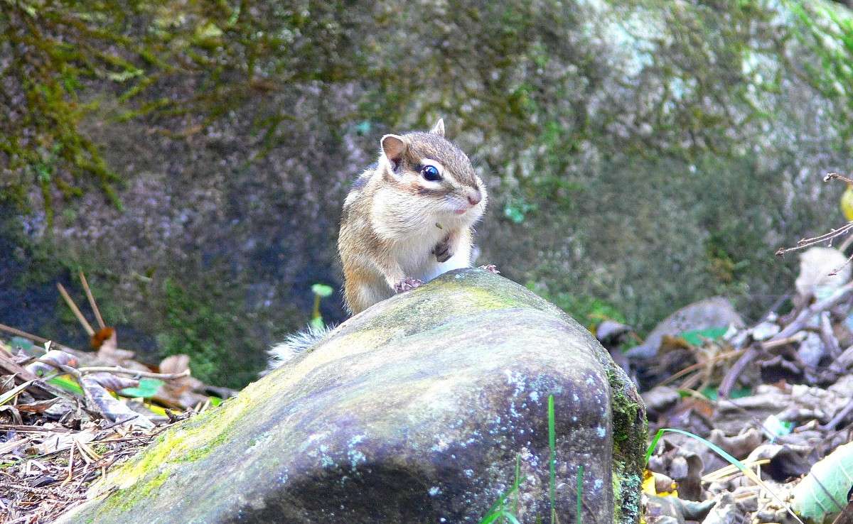 ����� �������� ����� ����� ������ �� PhotoGeek.ru #�������� ��� #������ ��� ������� #����� ��� ��� ���������