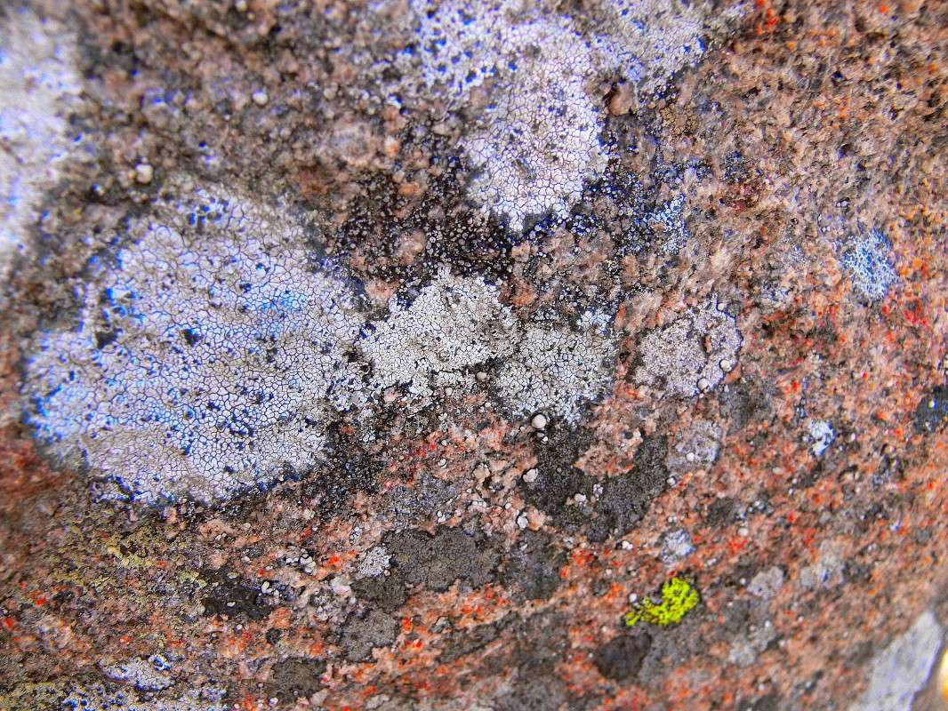 � ����� ������! ����� ����� ������ �� PhotoGeek.ru #������ ��� ������� #��������� #����� ��������