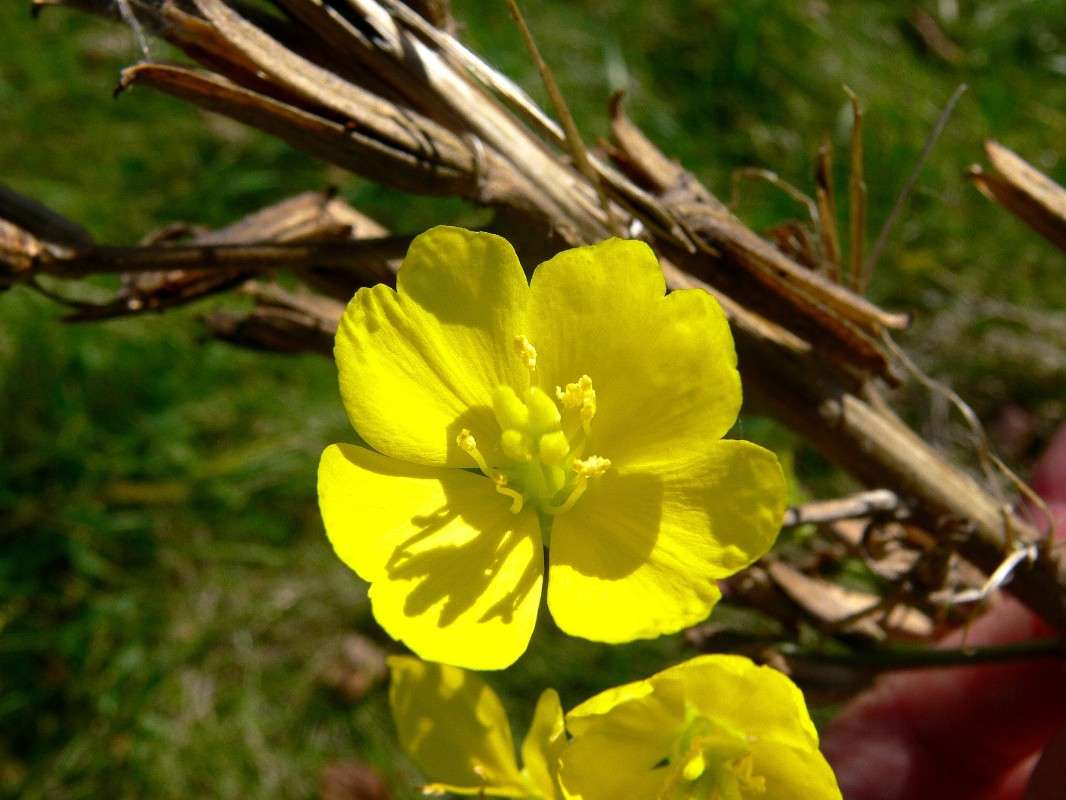 ������� ��������... ����� ����� ������ �� PhotoGeek.ru #������ ��� ������� #����� �������������� #����� ��������