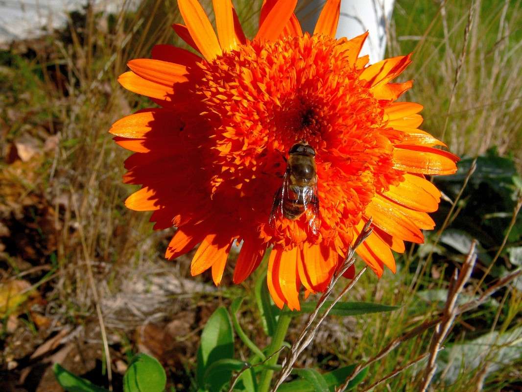 ���� ��������� ������� ����� ����� ������ �� PhotoGeek.ru #������ ��� ������� #����� �������������� #����� ��������