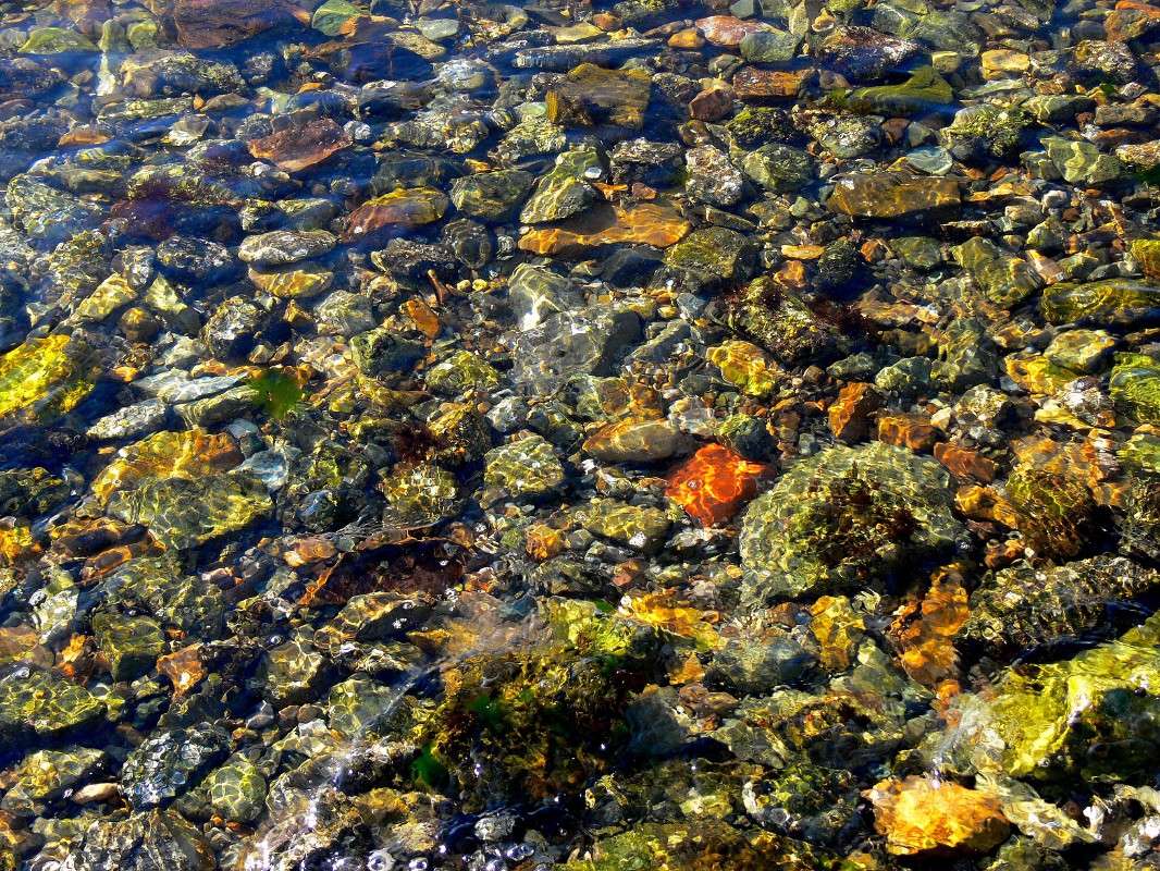 ����������� ���������� ����� ����� ������ �� PhotoGeek.ru #������ ��� ������� #��������� #����� ��������