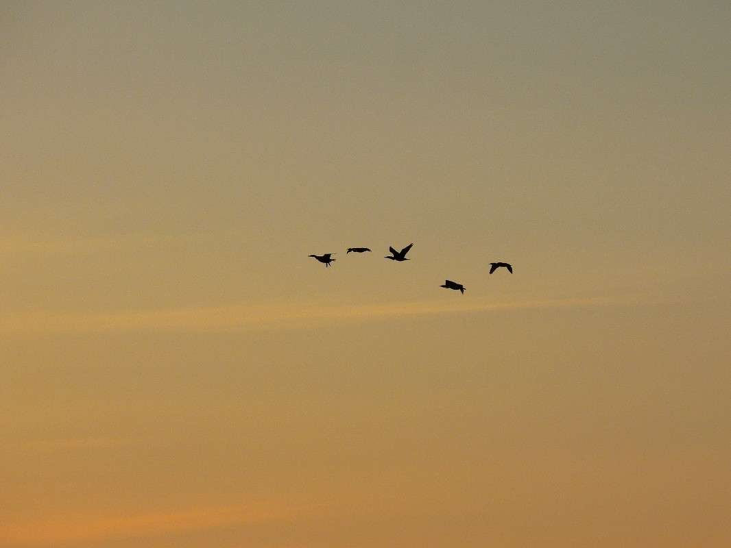 ���� �����! ����� ����� ������ �� PhotoGeek.ru #����� #�������� ��� #������ ��� ������� #��������� ������ #����� ��������