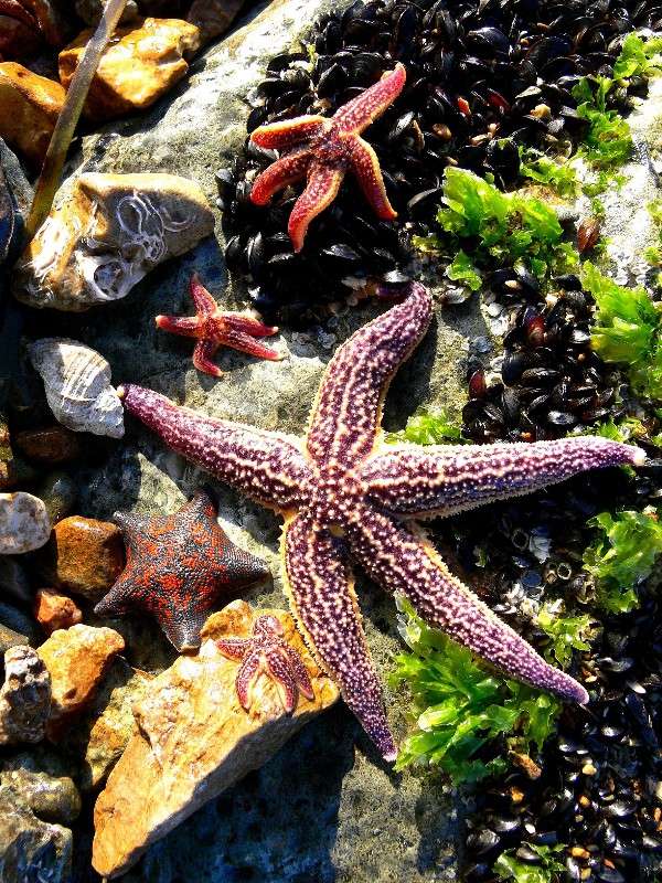 �������� �������! ����� ����� ������ �� PhotoGeek.ru #�������� ��� #������ ��� ������� #����� ��������