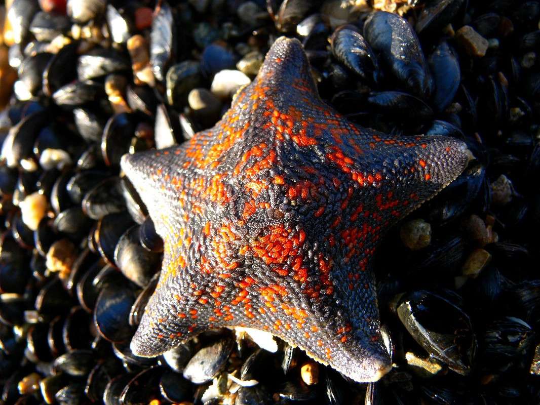 ������! ����� ����� ������ �� PhotoGeek.ru #�������� ��� #������ ��� ������� #����� ��������