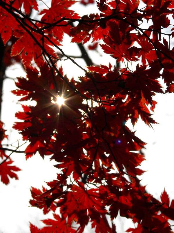 �������� �������� �����... ����� ����� ������ �� PhotoGeek.ru #������ ��� ������� #����� �������������� #���������