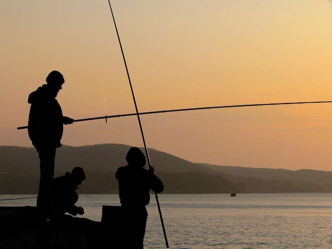 ����! ����� ����� ������ �� PhotoGeek.ru #����� #������ ��� ������� #��������� ������ #����� ��������