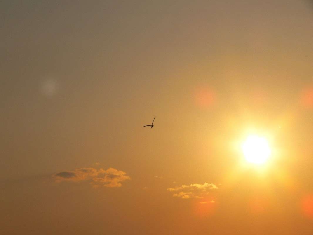 � ������... ����� ����� ������ �� PhotoGeek.ru #����� #������ ��� ������� #����� ��������