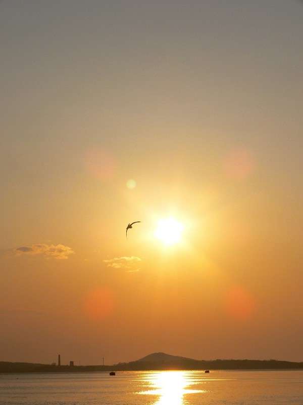 �������... ����� ����� ������ �� PhotoGeek.ru #����� #������ ��� ������� #��������� ������