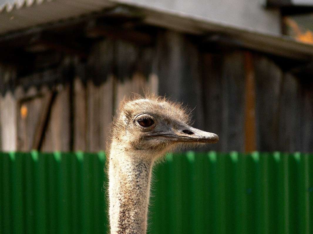 ��� ��� � �������? ����� ����� ������ �� PhotoGeek.ru #�������� ���