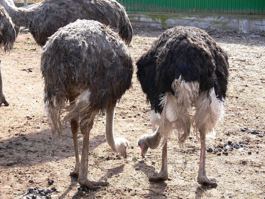 �� ���-������ ����� ������? ����� ����� ������ �� PhotoGeek.ru #�������� ��� #������ ��� �������