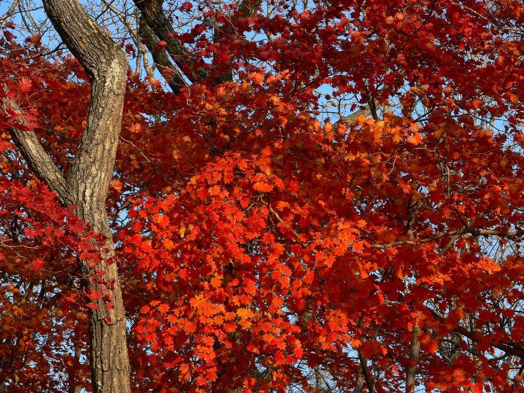 ��������� ������ ����� ��� ����� ����� ����� ������ �� PhotoGeek.ru #������ ��� ������� #����� �������������� #���������