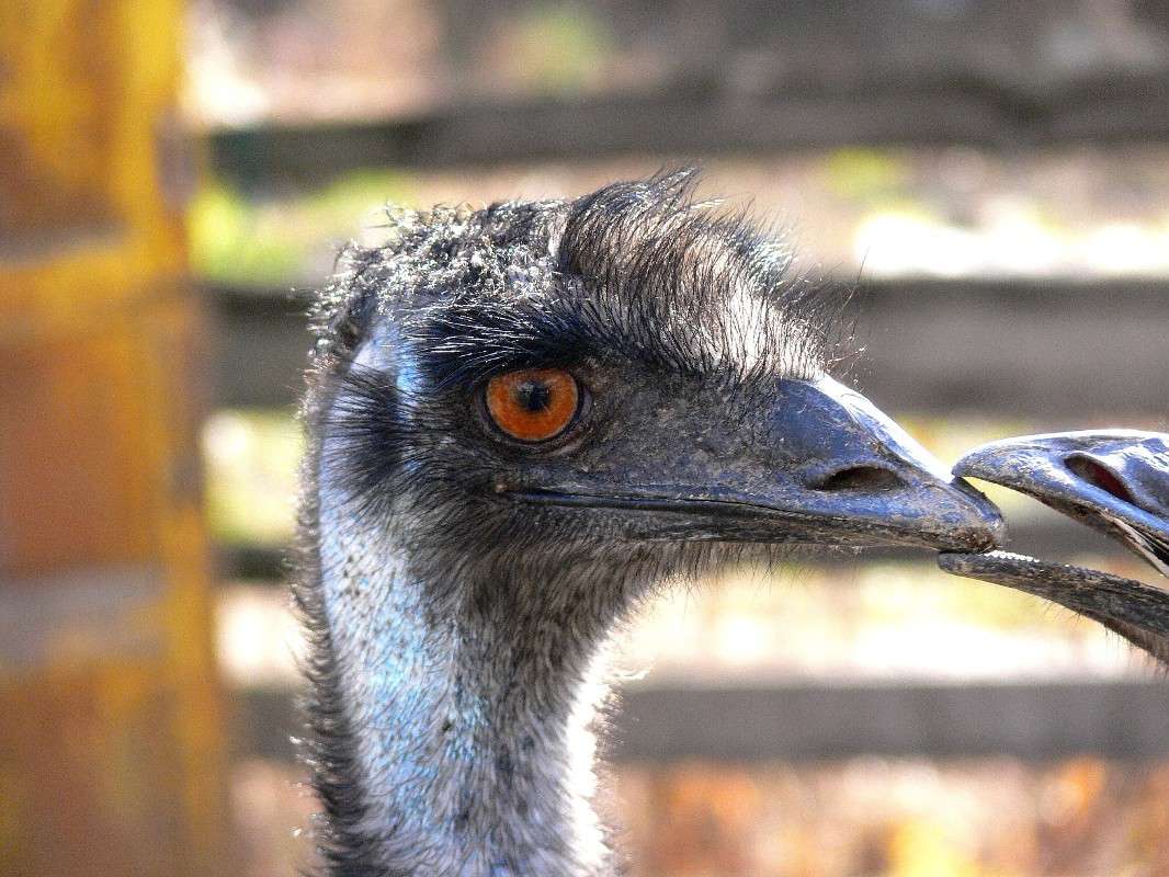 �������? ����� ����� ������ �� PhotoGeek.ru #�������� ��� #������ ��� ������� #����� ��������