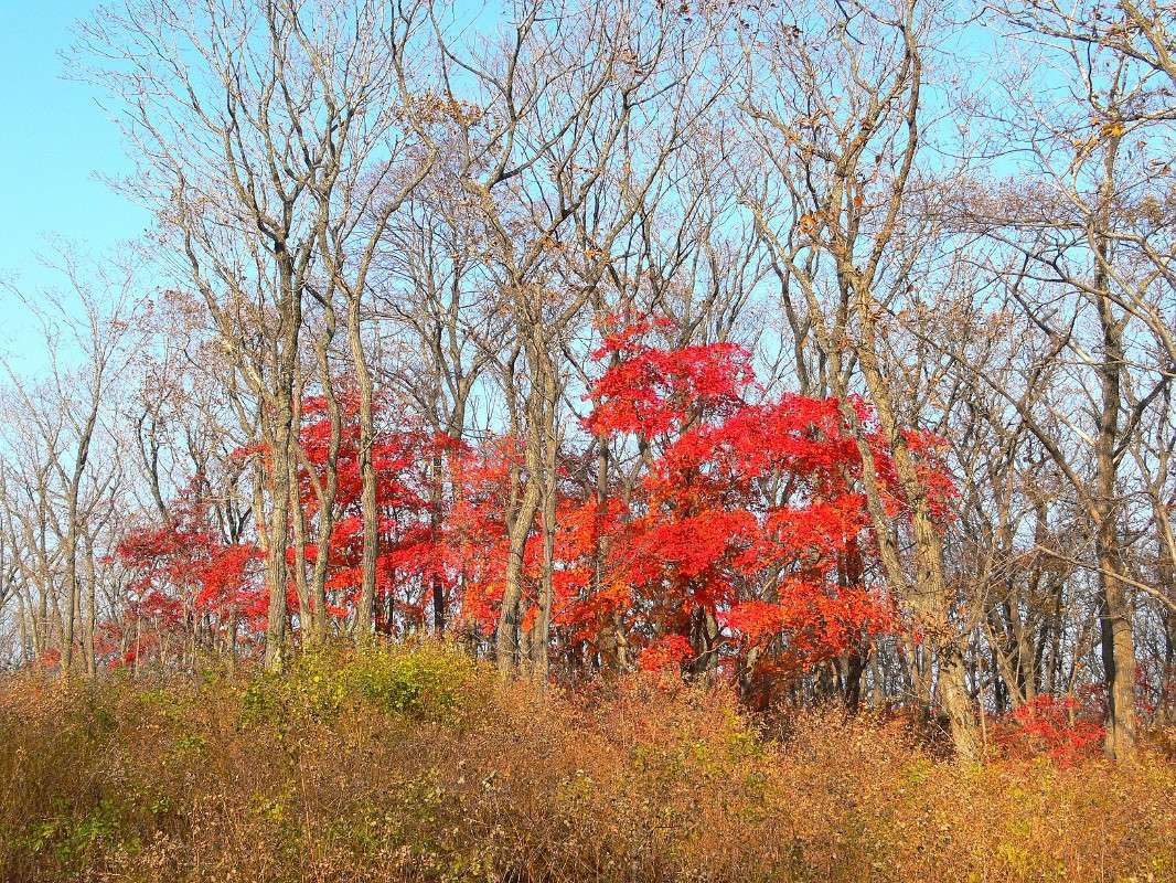 �������� ������ ����� ����� ������ �� PhotoGeek.ru #������ ��� ������� #����� �������������� #��������� #����� ��������