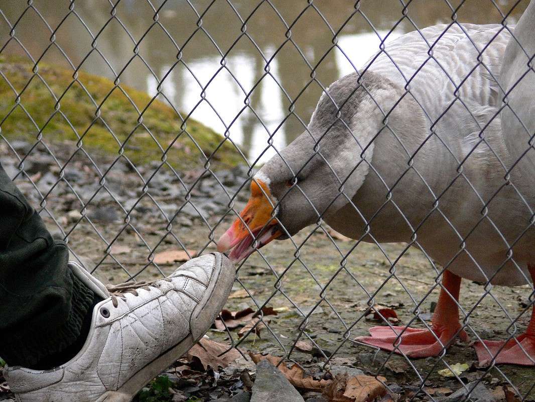 ���� ���� �� ������! ����� ����� ������ �� PhotoGeek.ru #�������� ��� #������ ��� ������� #���������