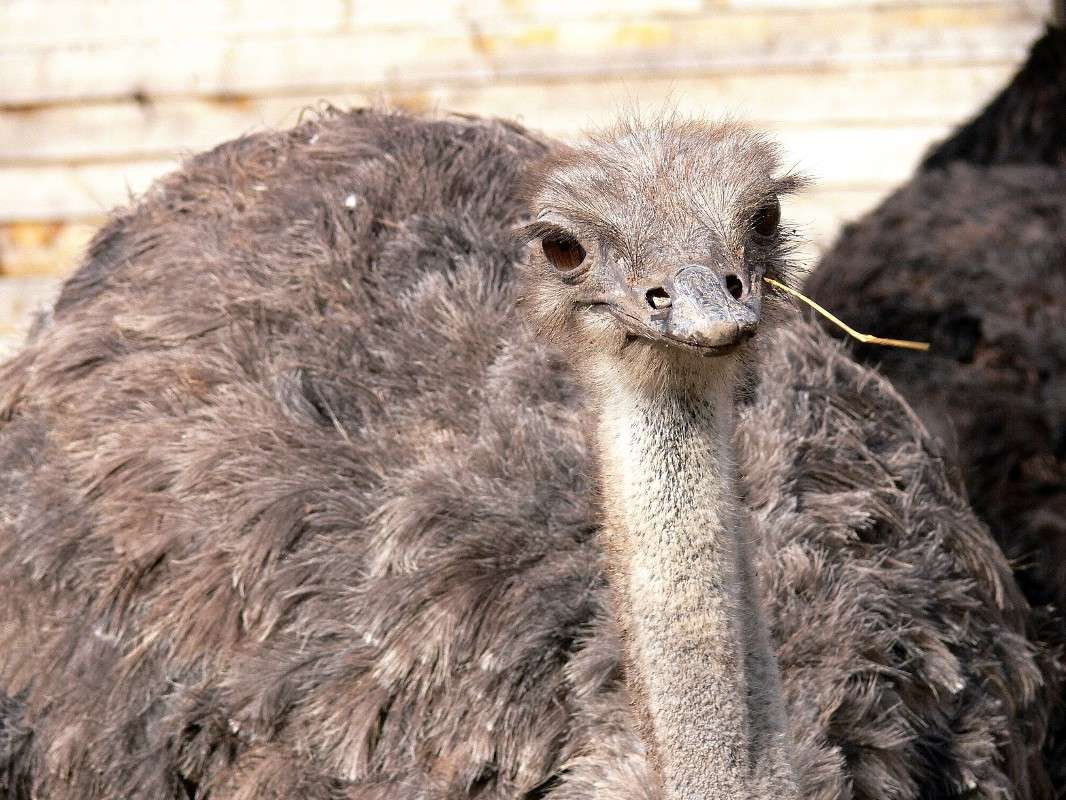 � ����� ������ � ��� ������ ���? ����� ����� ������ �� PhotoGeek.ru #�������� ��� #������ ��� ������� #����� ��������