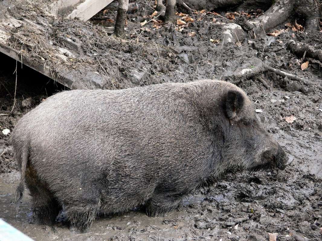 ...������ ����� ������! ����� ����� ������ �� PhotoGeek.ru #�������� ��� #������ ��� ������� #����� ��������