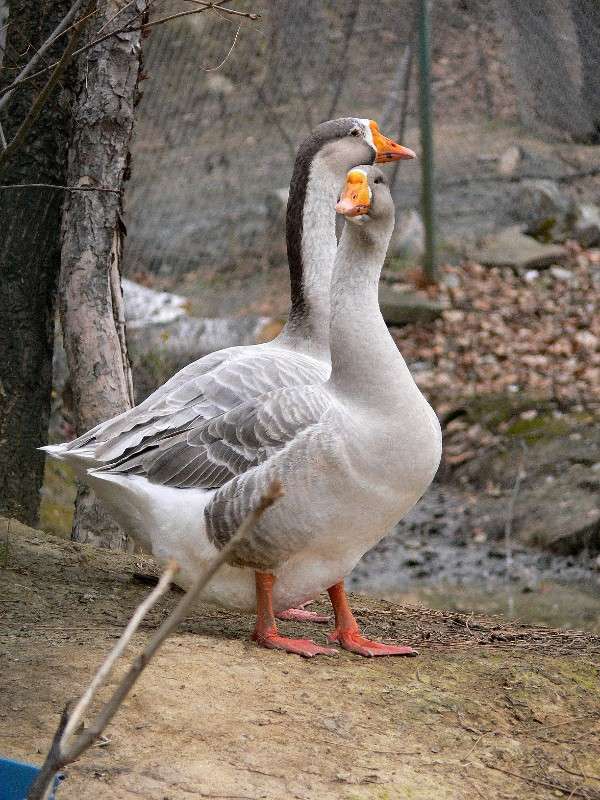 ��� ���� ����� ����� ������ �� PhotoGeek.ru #�������� ��� #������ ��� ������� #�������� ���