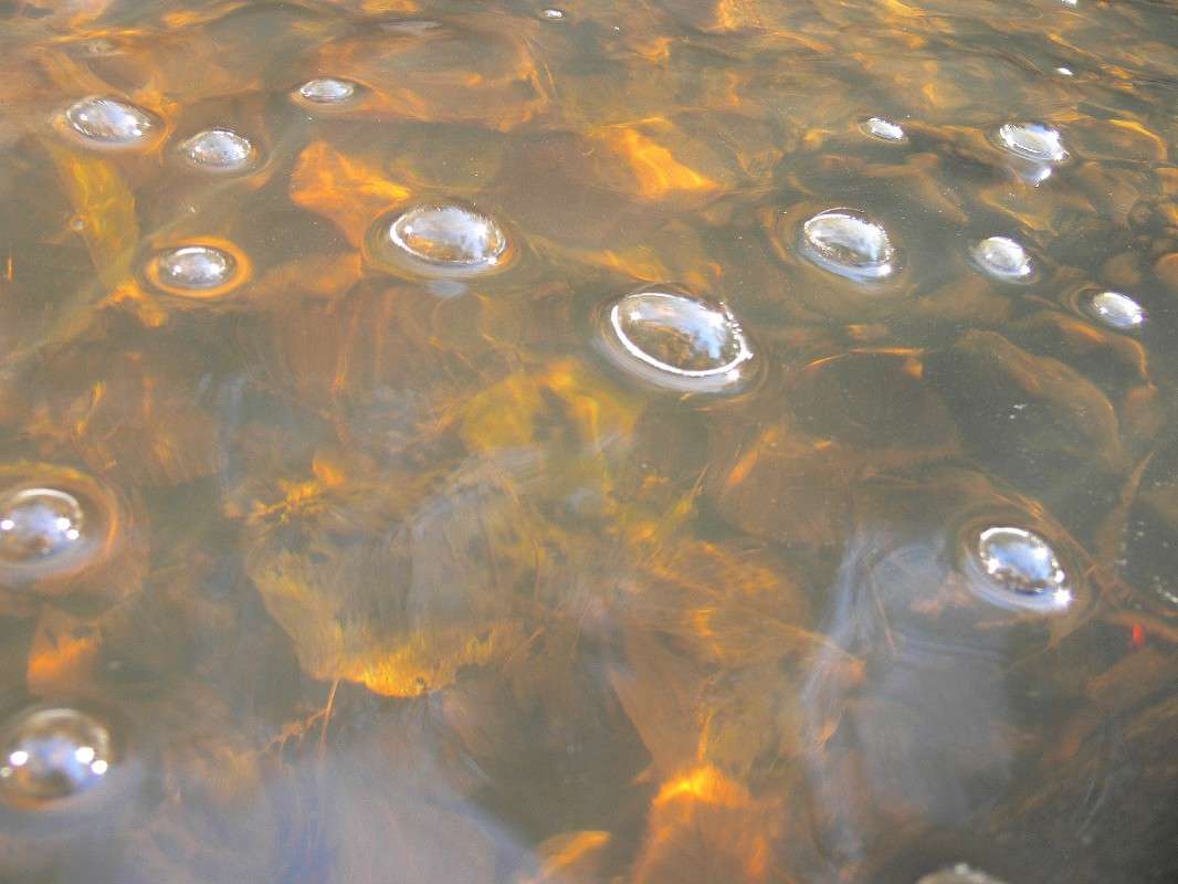 �������� ����� ����� ������ �� PhotoGeek.ru #������ ��� ������� #��������� #����� ��������