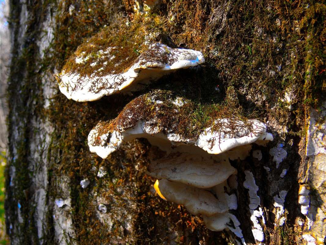 ������� � �������... ����� ����� ������ �� PhotoGeek.ru #������ ��� ������� #����� �������������� #���������